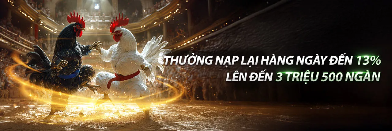 Sân vận động tràn đầy năng lượng với hoạt động cá cược thể thao của FCB8 nhà cái