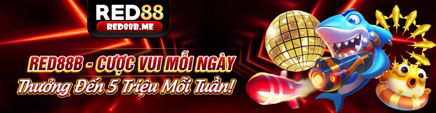 Giao diện ứng dụng fcb8 nhà cái trên điện thoại